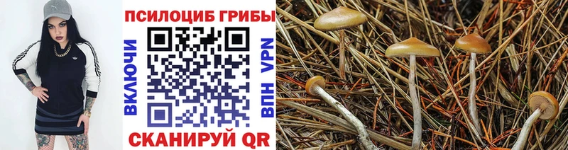 Галлюциногенные грибы GOLDEN TEACHER  Любань 